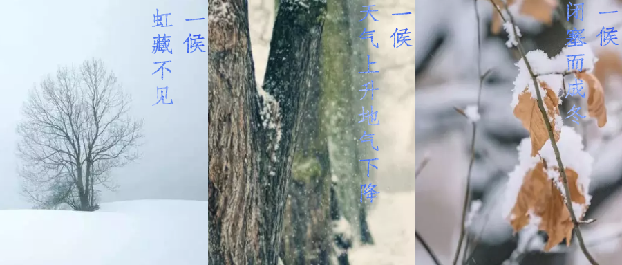 今日小雪，寒潮來(lái)襲，洗瓶機(jī)來(lái)幫你解放雙手吧！